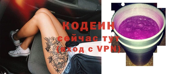 прущие грибы Абинск