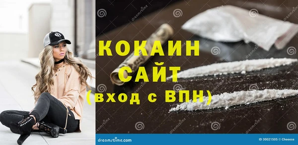 прущие грибы Абинск