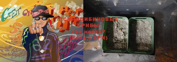 прущие грибы Абинск