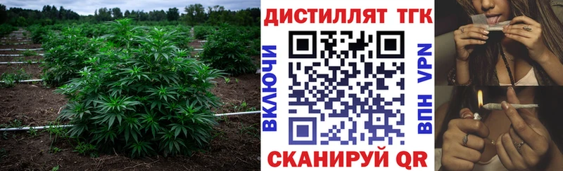 mega ONION  Чухлома  ТГК THC oil  купить  сайты 
