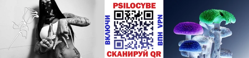 Псилоцибиновые грибы Psilocybe  где купить наркоту  Чухлома 